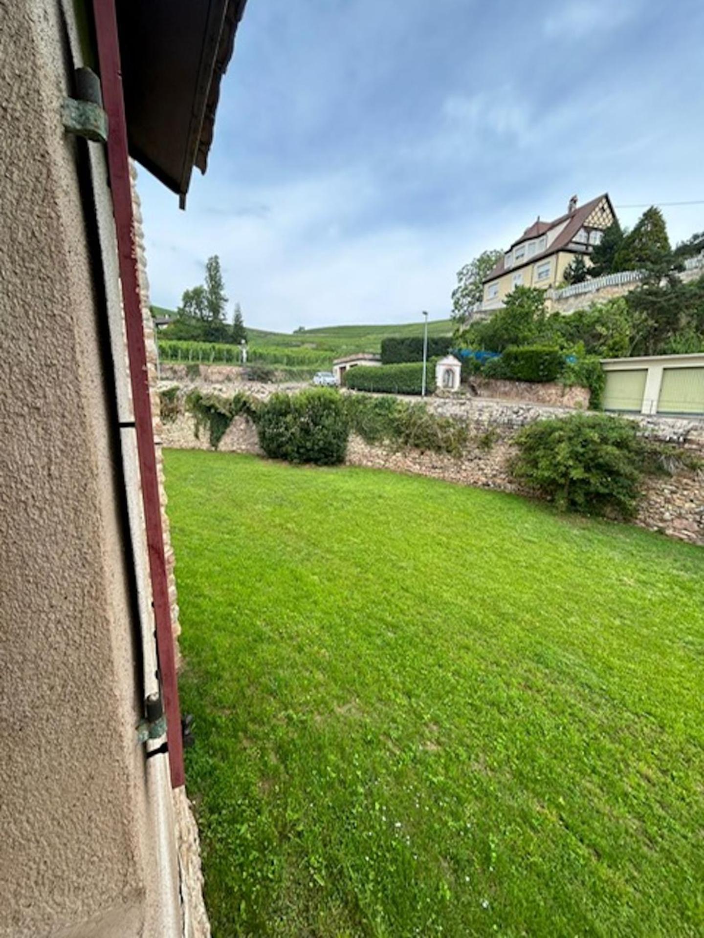 Le Cocon Du Vignoble - Free Wifi - Netflix Apartment Turckheim Exterior photo